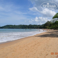 фото из отзыва ID 474458