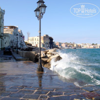 фото из отзыва ID 474509