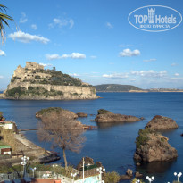 фото из отзыва ID 474509