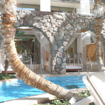 фото из отзыва ID 474575