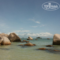 фото из отзыва ID 474701