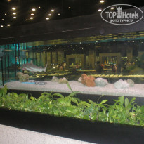 фото из отзыва ID 474956