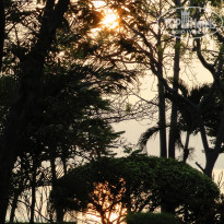 фото из отзыва ID 474490