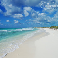 фото из отзыва ID 475995