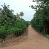 фото из отзыва ID 476017