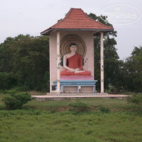 фото из отзыва ID 476017