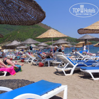 фото из отзыва ID 476103