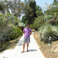 фото из отзыва ID 476516