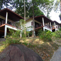 фото из отзыва ID 476516