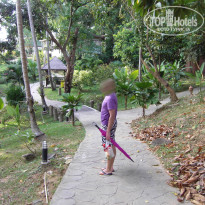 фото из отзыва ID 476516