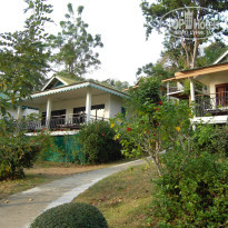 фото из отзыва ID 476516