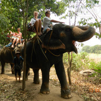 фото из отзыва ID 476576