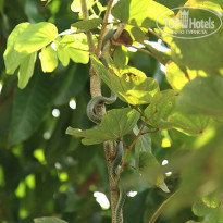 фото из отзыва ID 476833