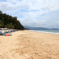 фото из отзыва ID 476833