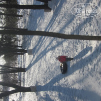 фото из отзыва ID 476915