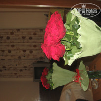 фото из отзыва ID 476949
