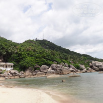 фото из отзыва ID 476844