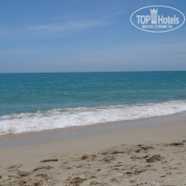 фото из отзыва ID 476844