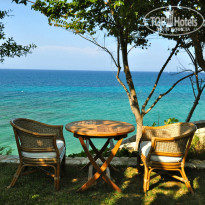 фото из отзыва ID 477056