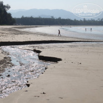 фото из отзыва ID 477076