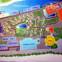 фото из отзыва ID 477114