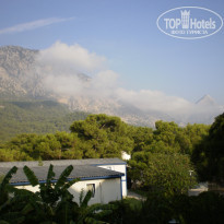 фото из отзыва ID 477355