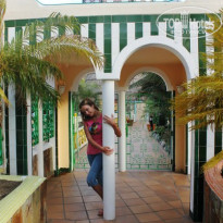 фото из отзыва ID 477468