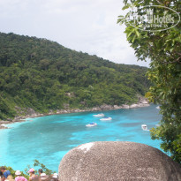 фото из отзыва ID 477628