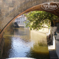 фото из отзыва ID 477678