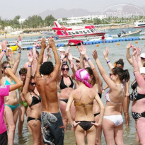 фото из отзыва ID 477702