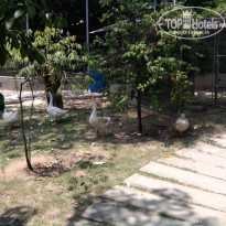 фото из отзыва ID 477752