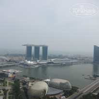 фото из отзыва ID 477786