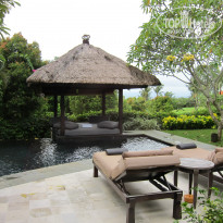 фото из отзыва ID 477839