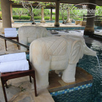 фото из отзыва ID 477839