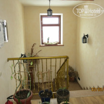 фото из отзыва ID 477875