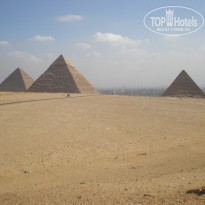 фото из отзыва ID 477878