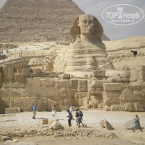 фото из отзыва ID 477878