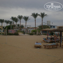 фото из отзыва ID 477878