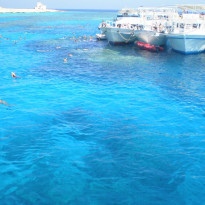 фото из отзыва ID 477878