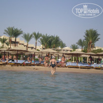 фото из отзыва ID 477878