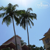 фото из отзыва ID 477952