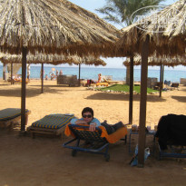 фото из отзыва ID 477989