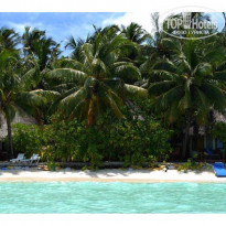 фото из отзыва ID 47841