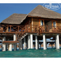 фото из отзыва ID 47841