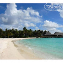 фото из отзыва ID 47841