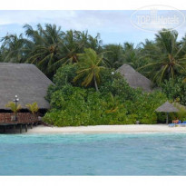 фото из отзыва ID 47841