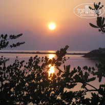 фото из отзыва ID 478122