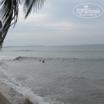 фото из отзыва ID 478209