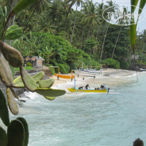 фото из отзыва ID 478221