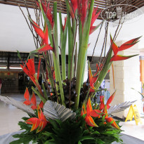 фото из отзыва ID 478225